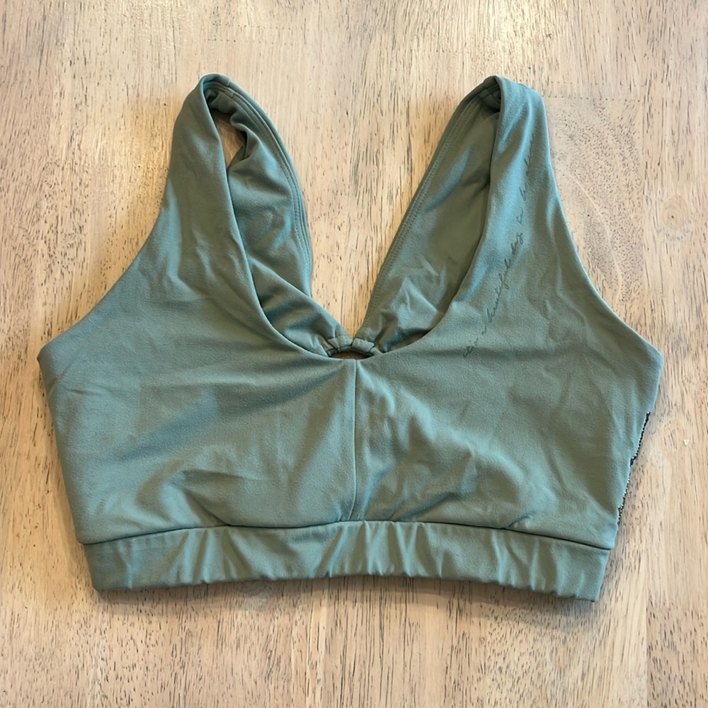 Whitney Simmons gym shark sports bra